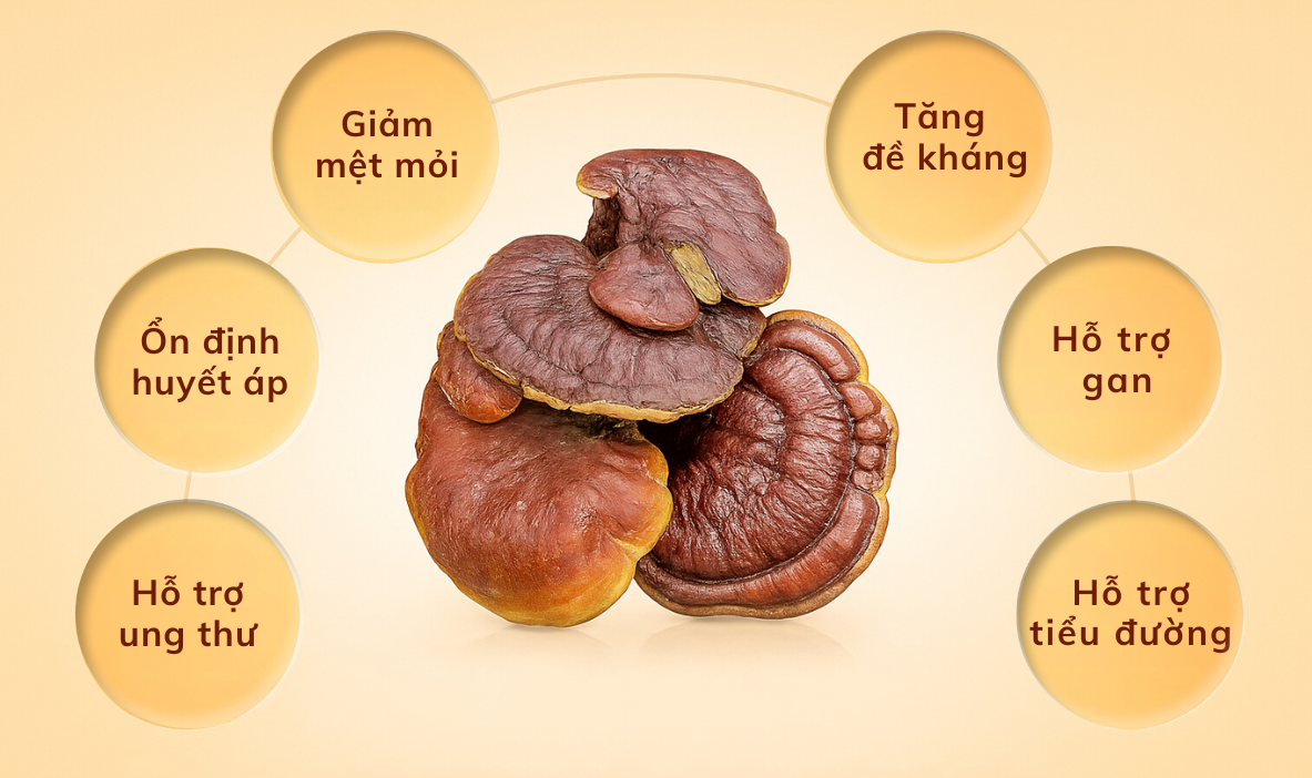 C&aacute;ch nấu nấm Lim Xanh để uống hiệu quả: Nhiều người vẫn nấu sai!